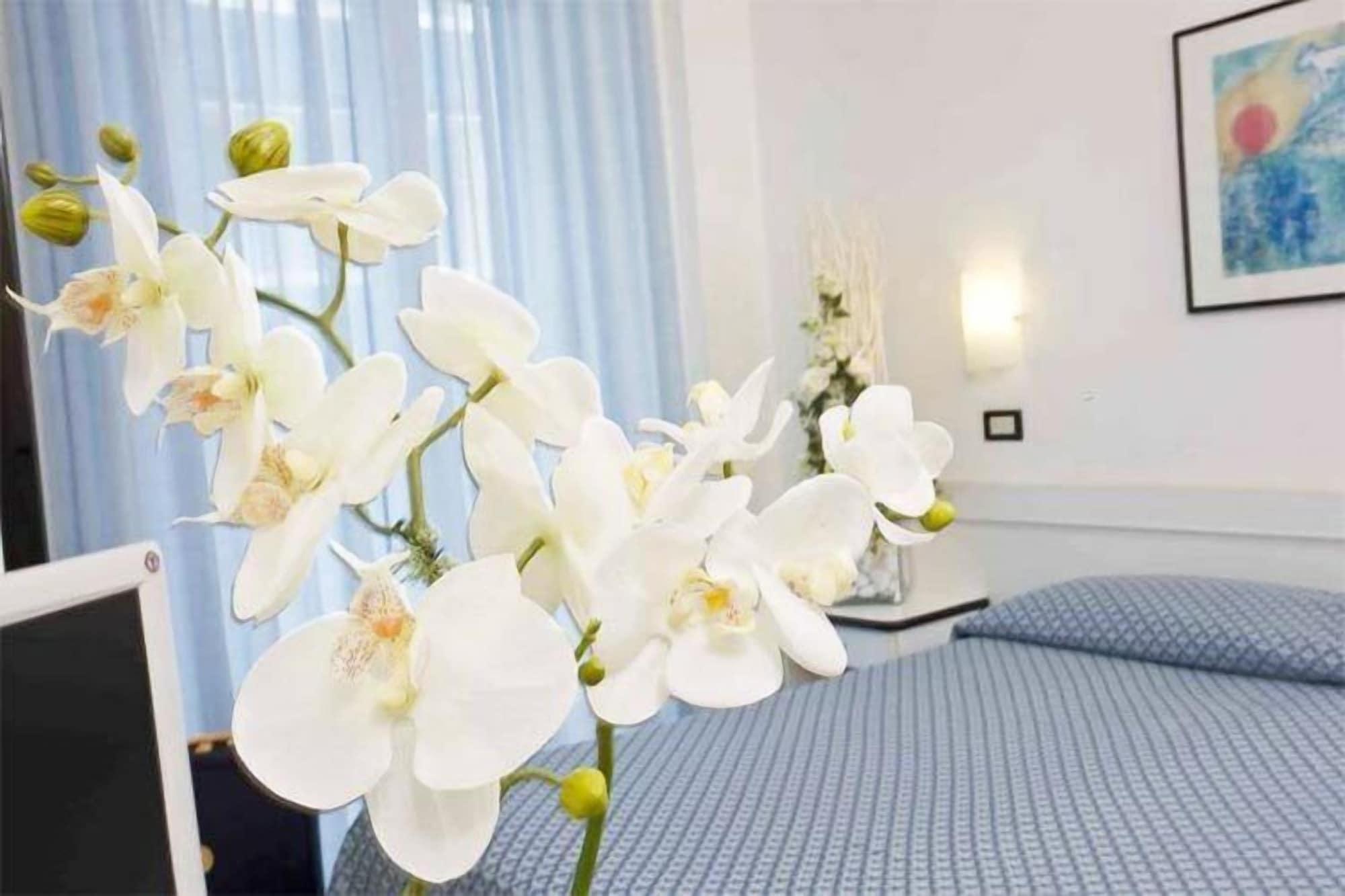 Hotel Elite カットーリカ エクステリア 写真